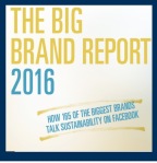 big-brand-report-2016